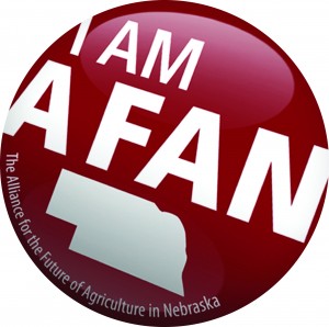 A-FAN Quarterly Newsletter